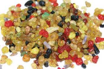 Paradies 1 KG