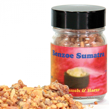Benzoe Sumatra Glas