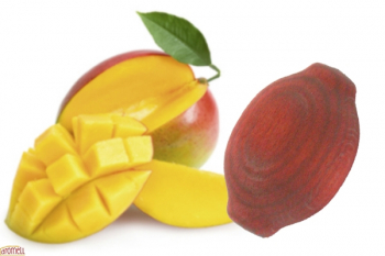 Duftholz Mango