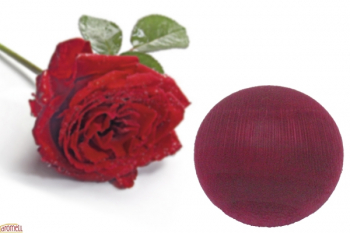 Duftholz Rose